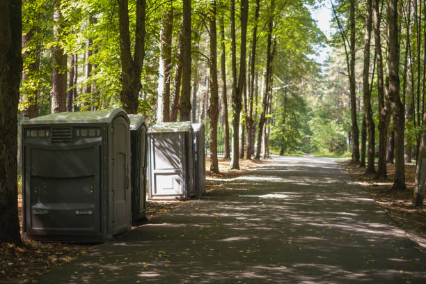 Best Porta potty rental for parties  in Fox Lake, IL
