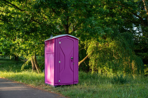 Best Affordable portable toilet rental  in Fox Lake, IL